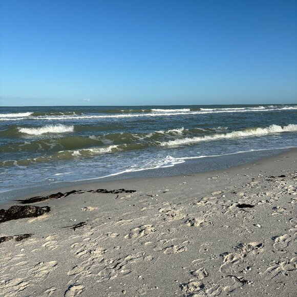 Meet your Posher, Danielle - Picture 1 of 1